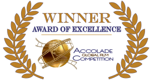 Accolade-Excellence-colorful1-300x159.png