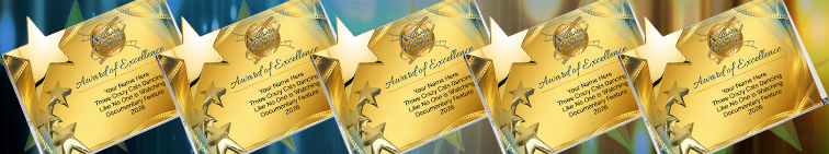 Accolade Modern Star Award