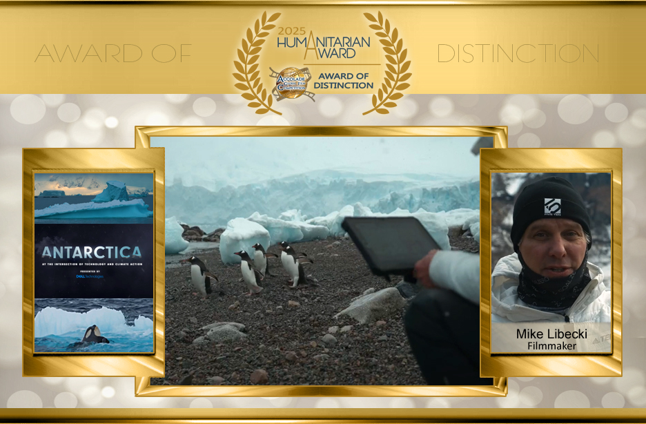 Accolade Humanitarian Award